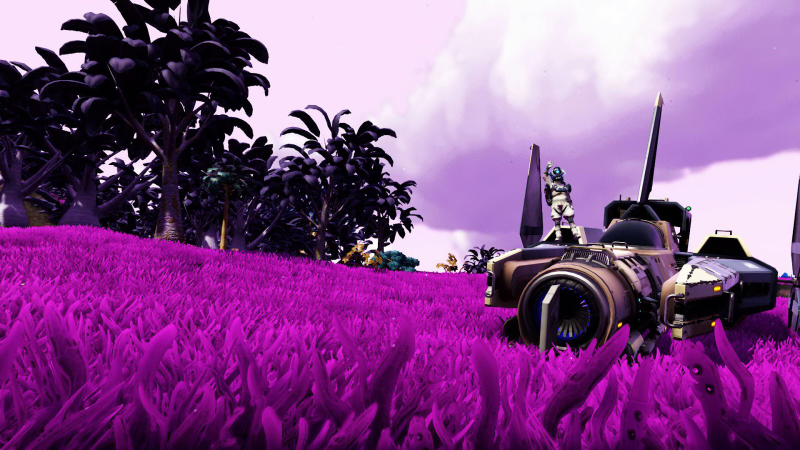 Illustration for article titled No Man's Sky Players Are Spotting Pink Grass, And They're Thrilled